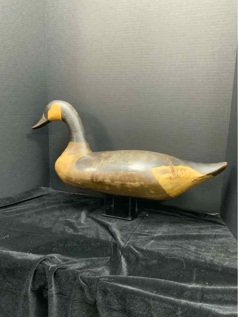 Decoy
