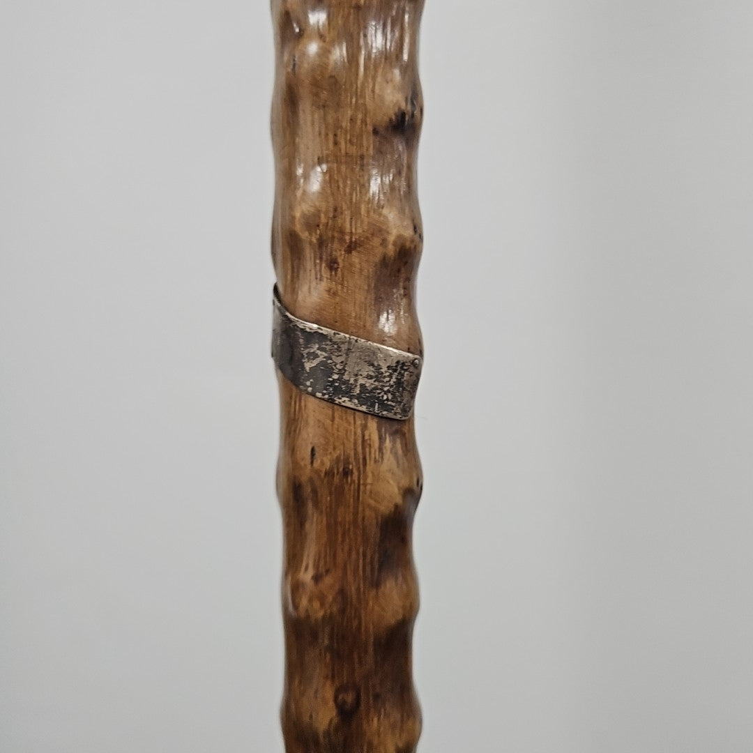 Cane