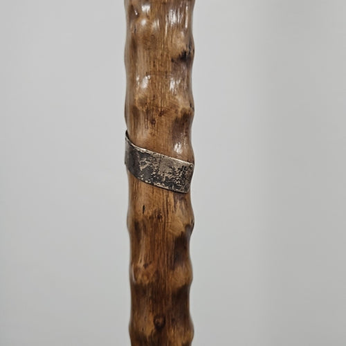 Cane