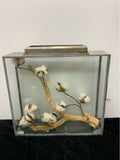 Terrarium