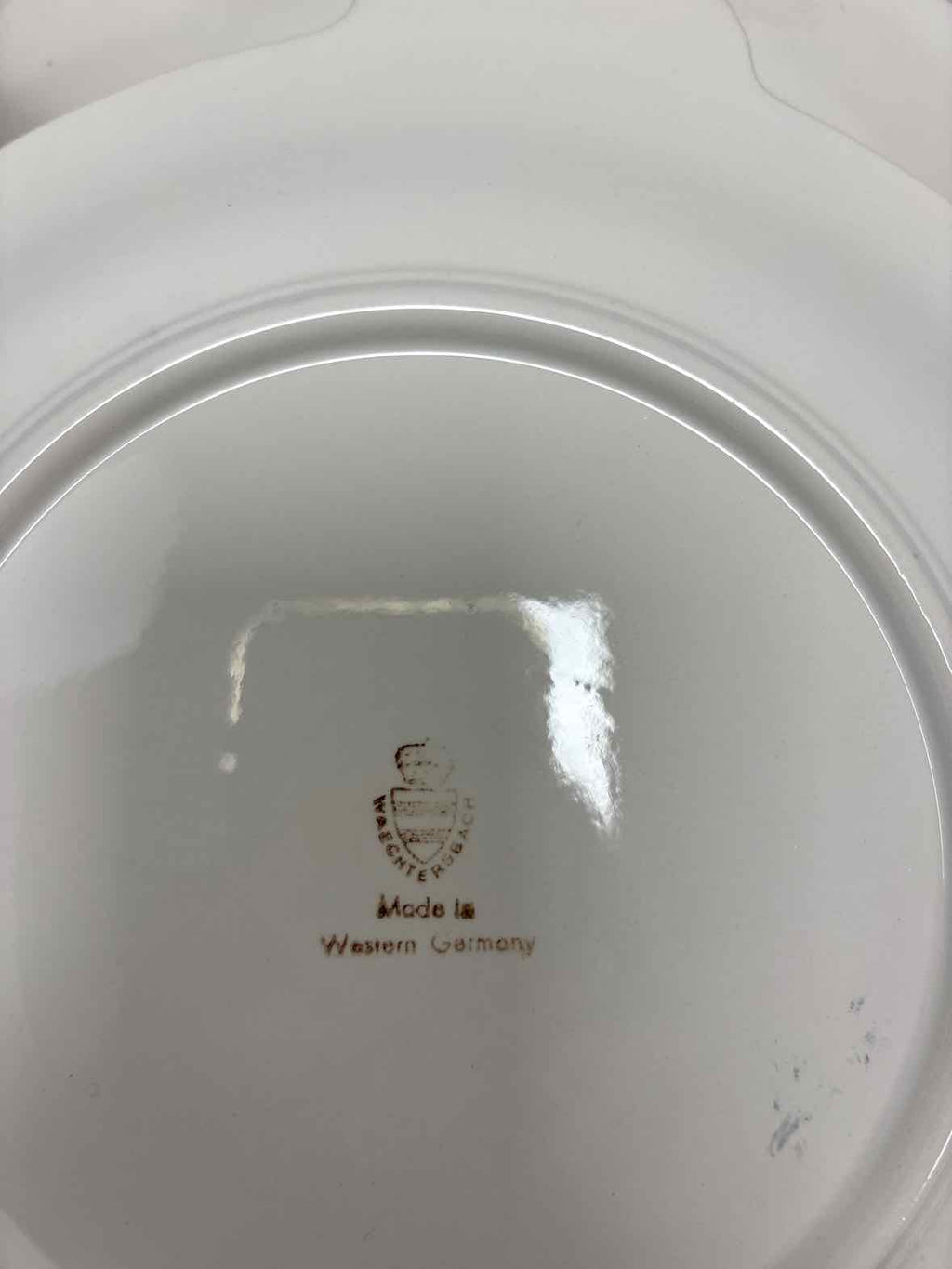 Waechtersbach Dinner Plate