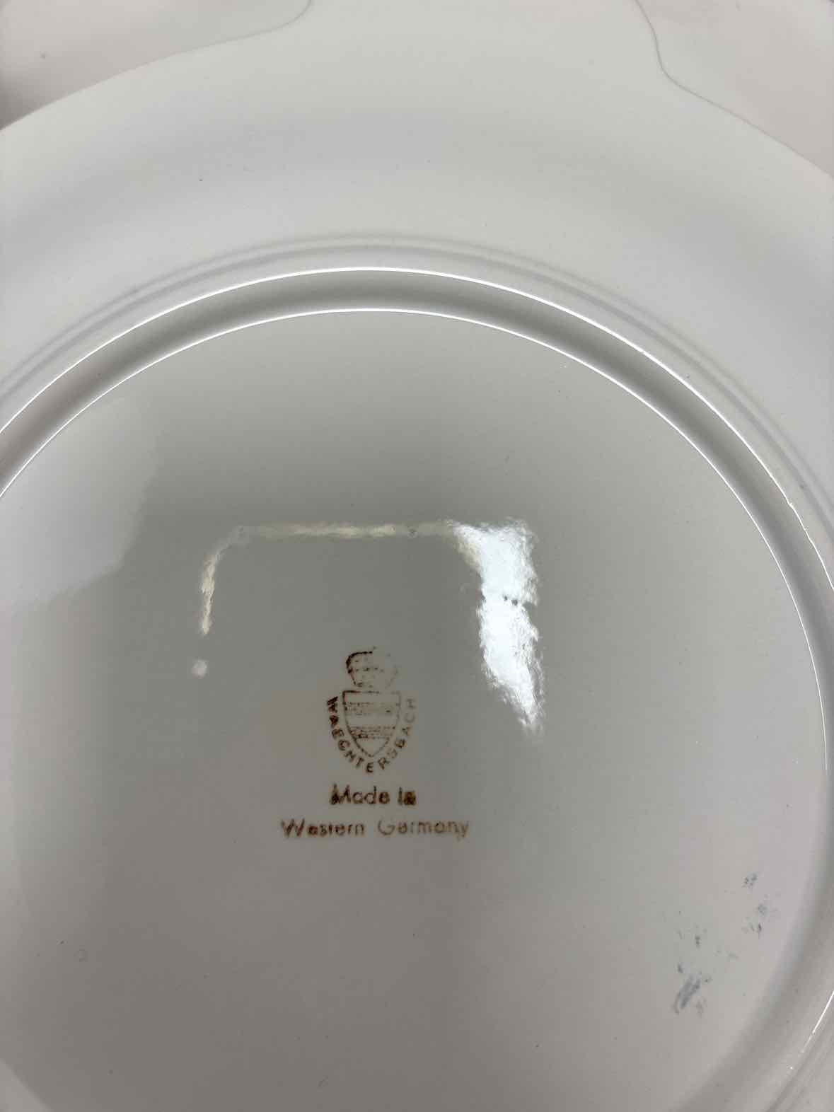 Waechtersbach Dinner Plate