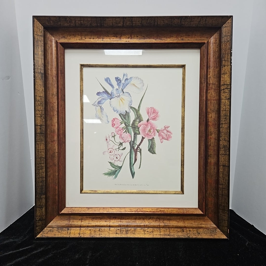 Framed Botanical
