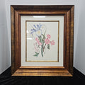 Framed Botanical