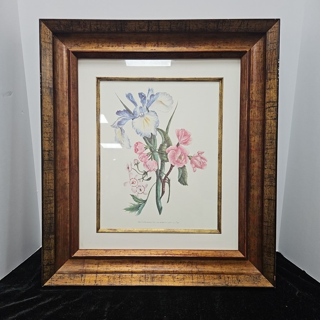 Framed Botanical