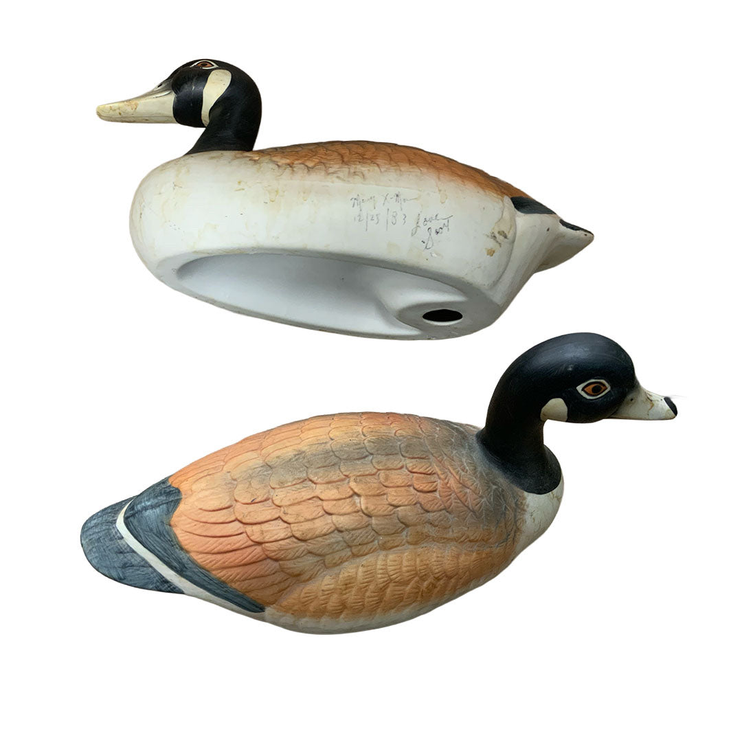 Decoy