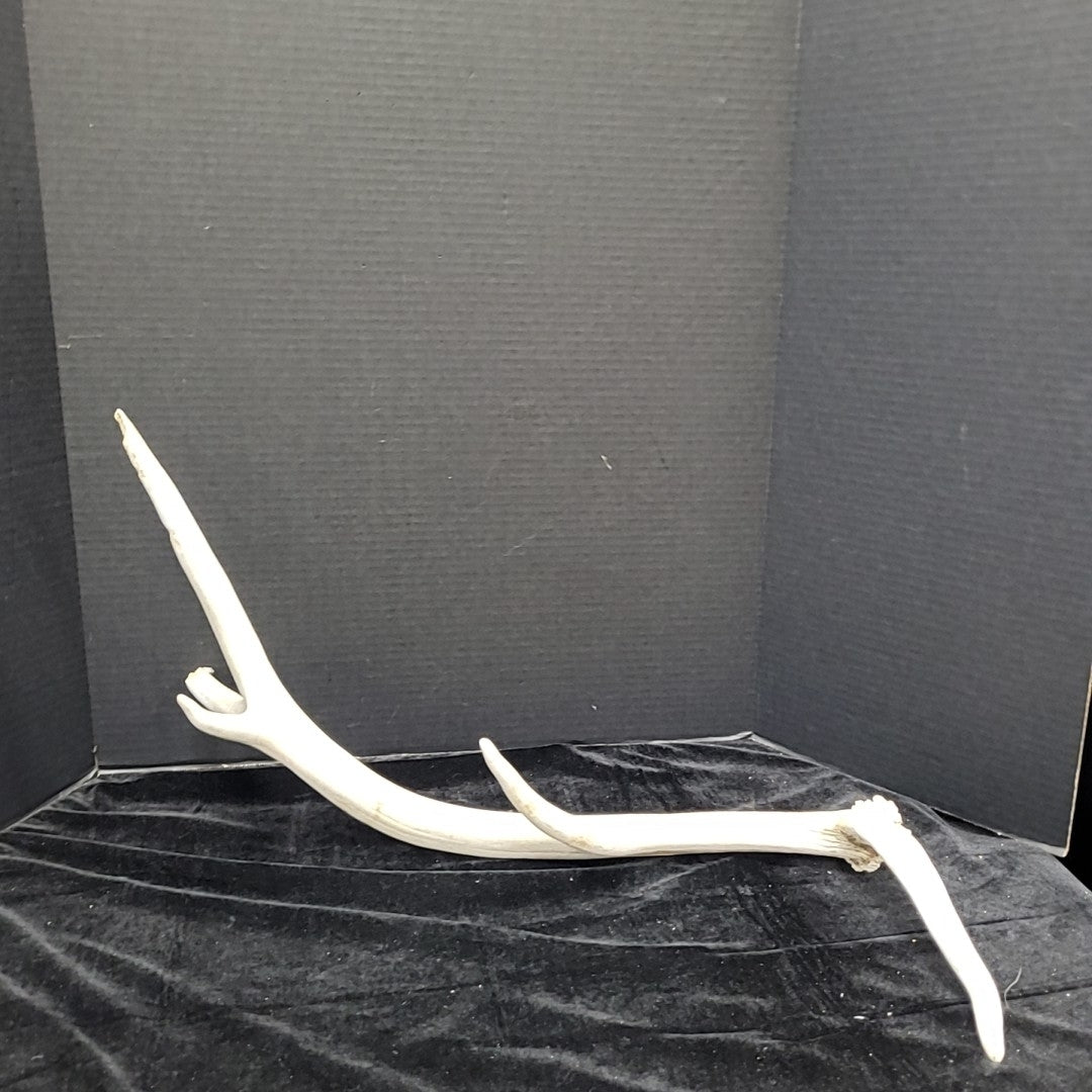 Antler