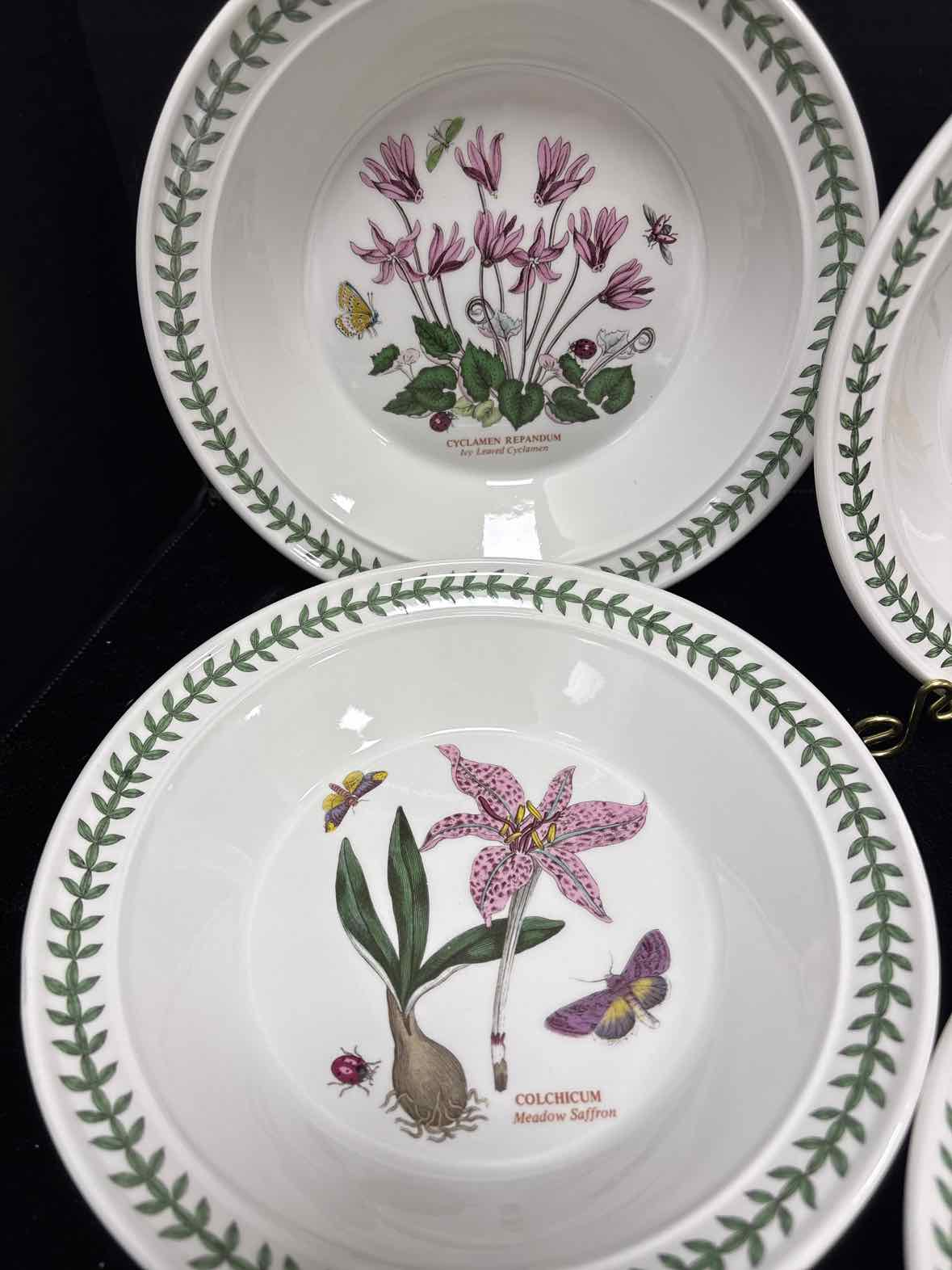 Portmeirion Rimmed Soup Bowl