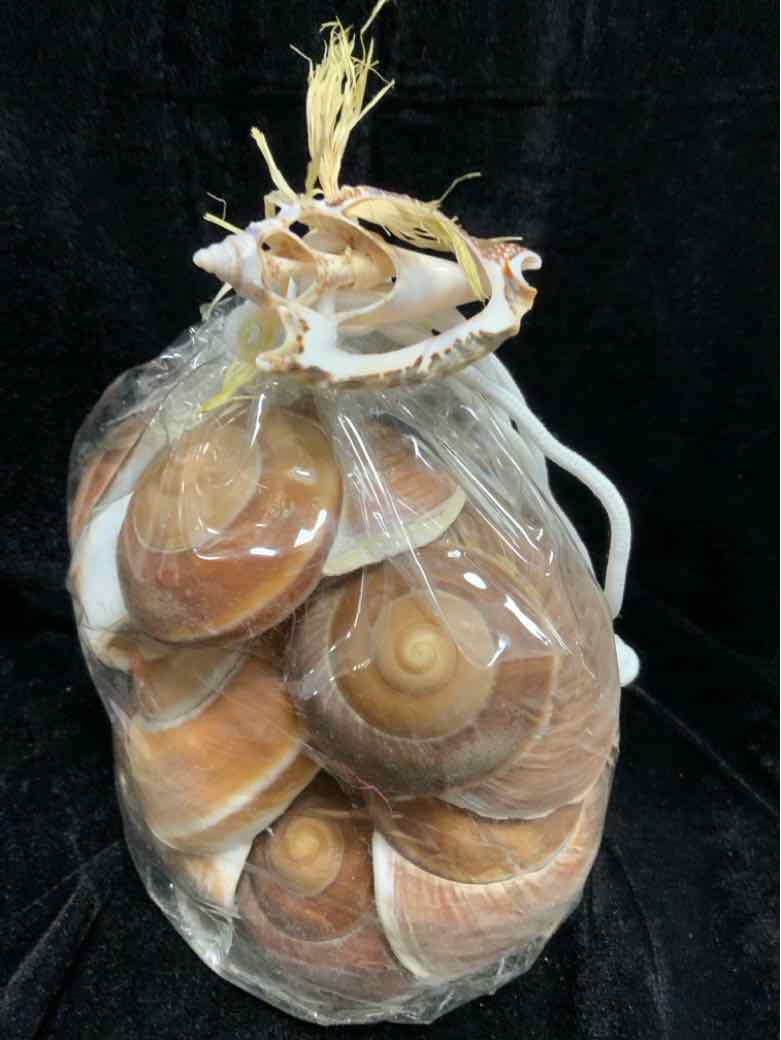 Bag of Shells