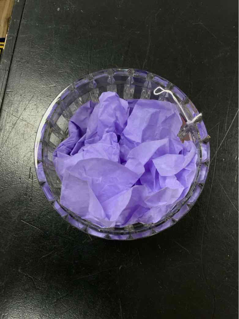 Dresden Bowl