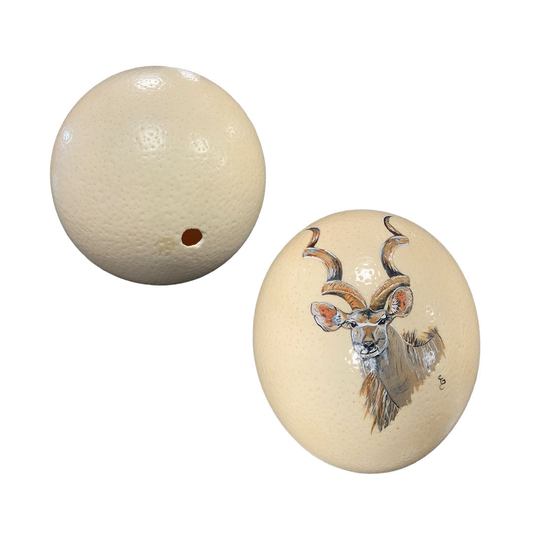 Ostrich Egg