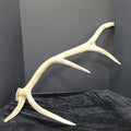 Antler