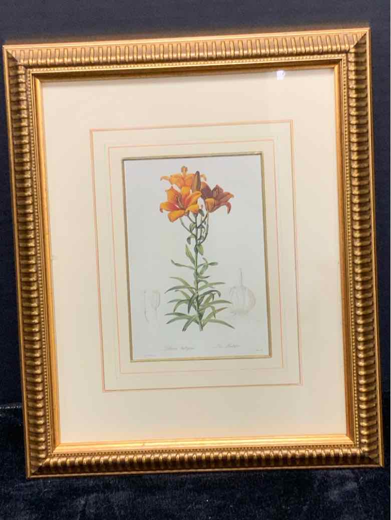 Botanical