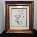 Framed Botanical