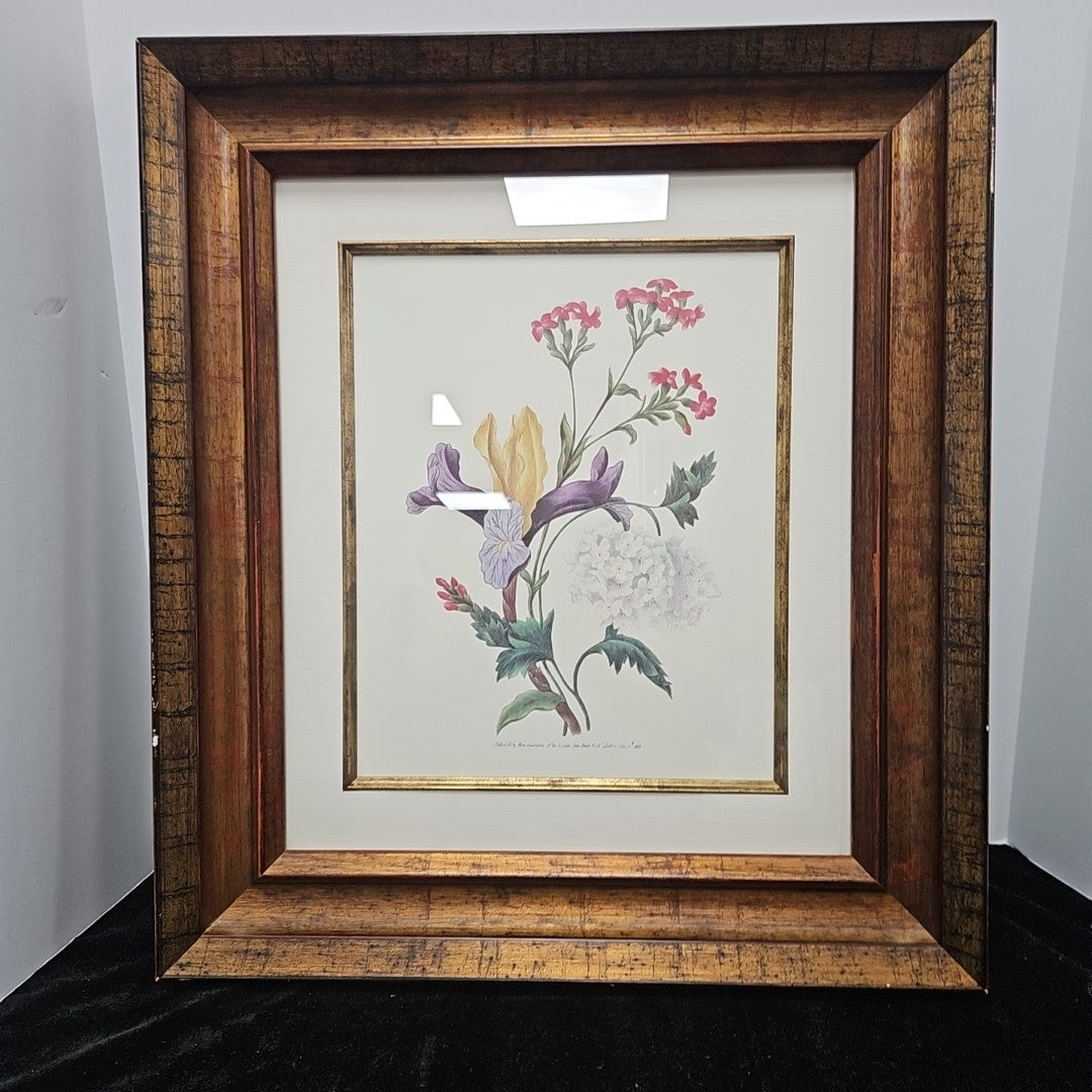 Framed Botanical