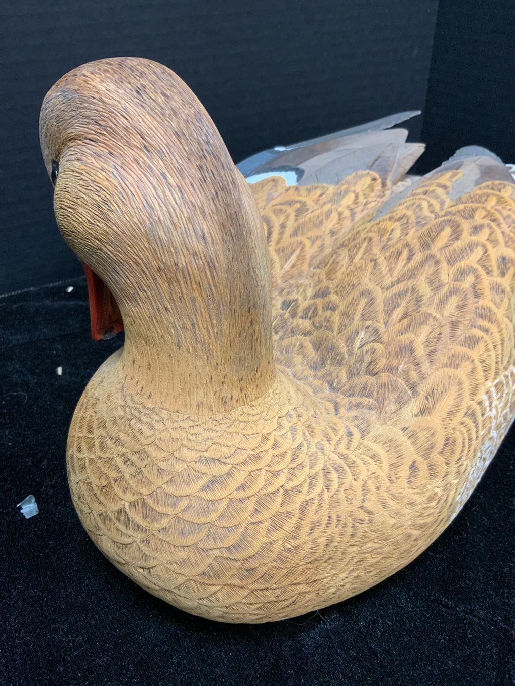 Decoy