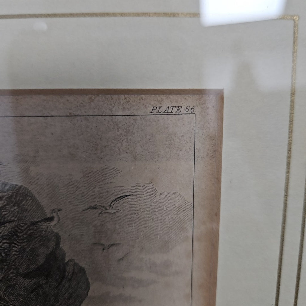 Etching