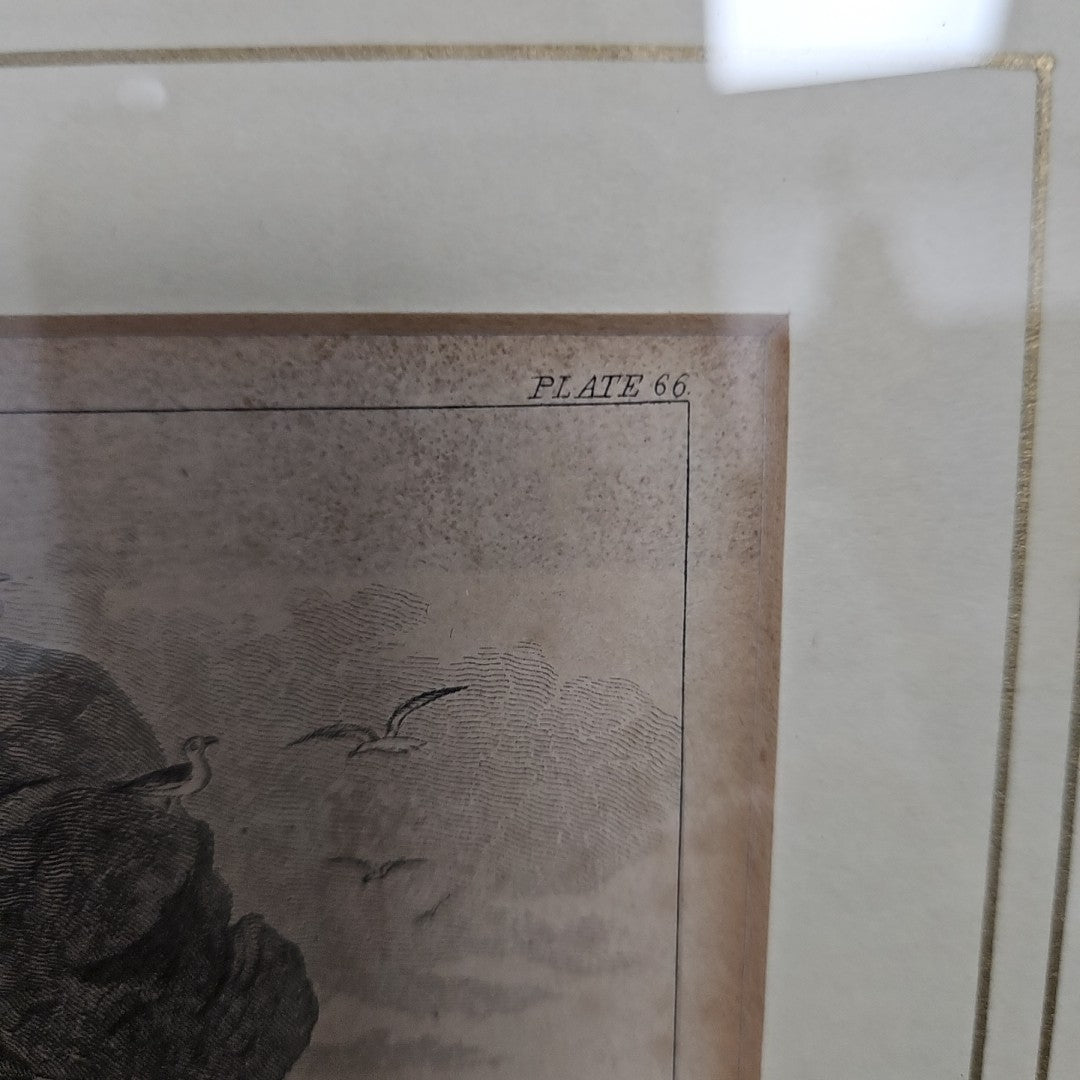 Etching