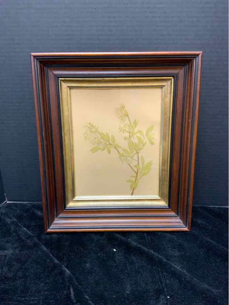 Botanical