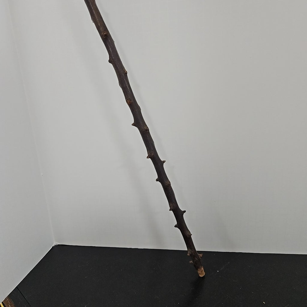 Walking Stick