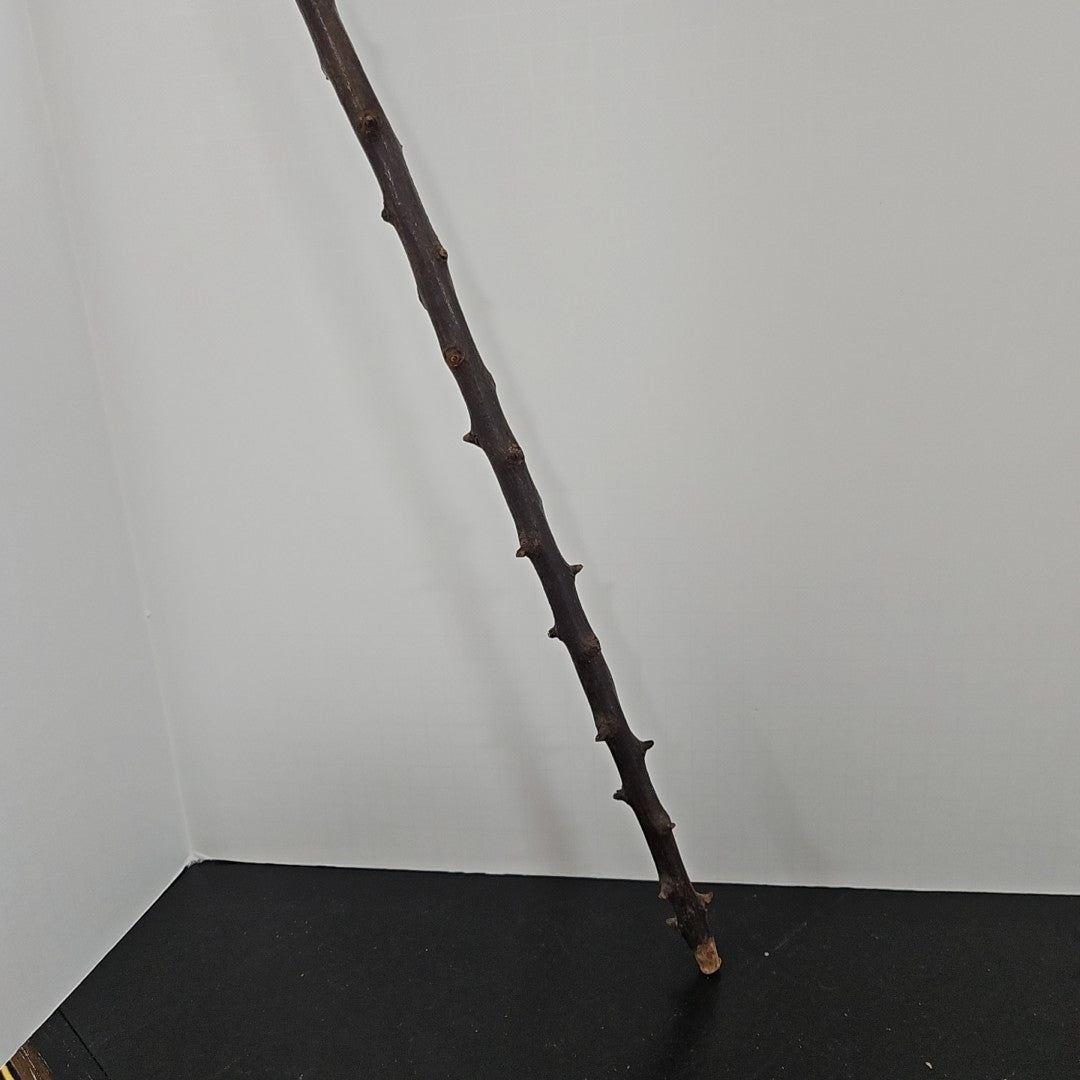 Walking Stick