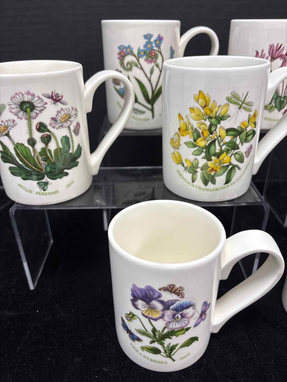 Portmeirion Mug