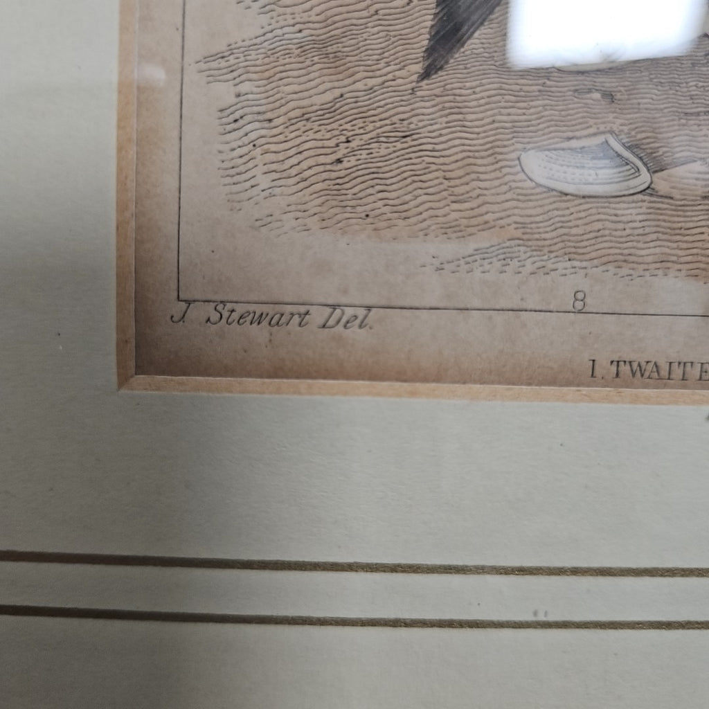Etching