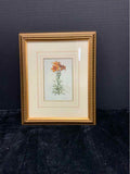 Botanical