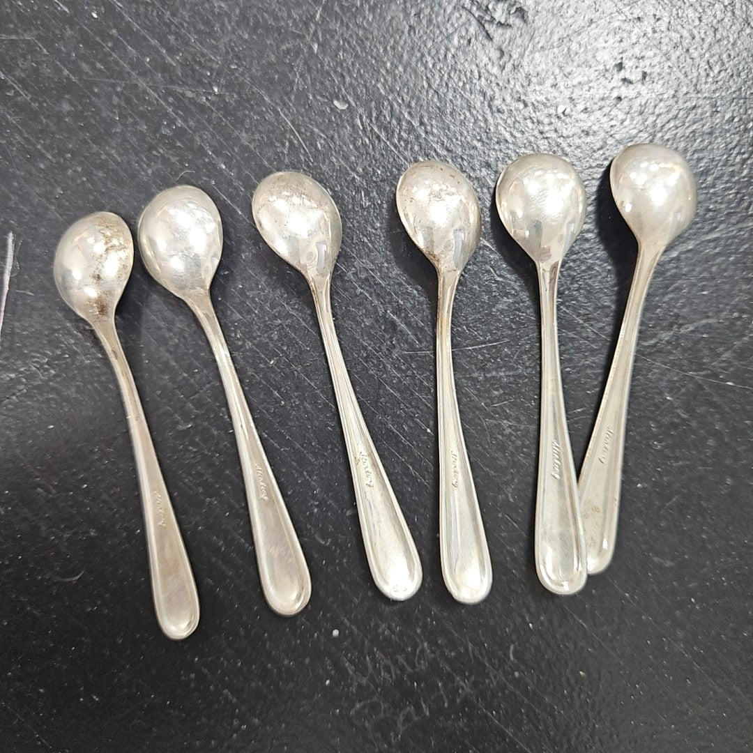 Webster Co. Salt Spoon