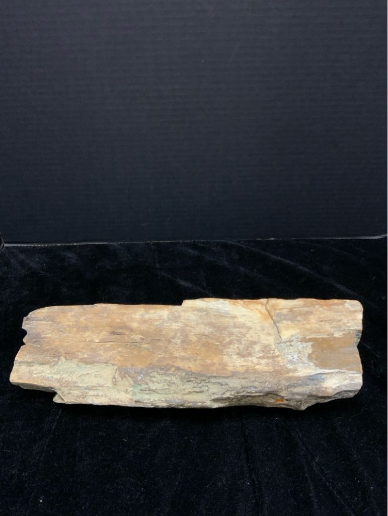 Petrified Wood