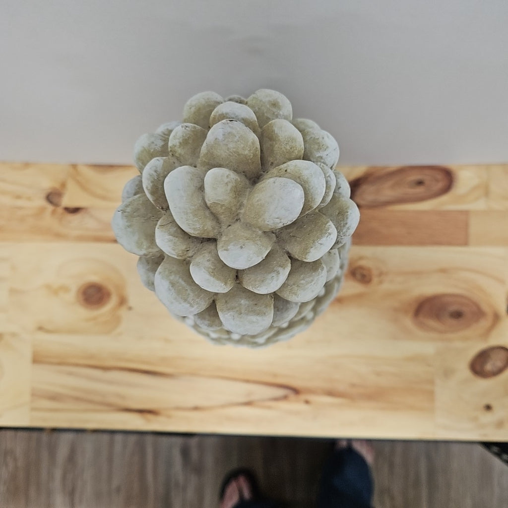 Object d'art
