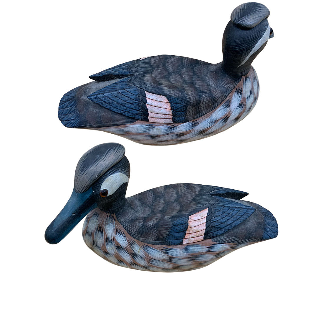 Decoy