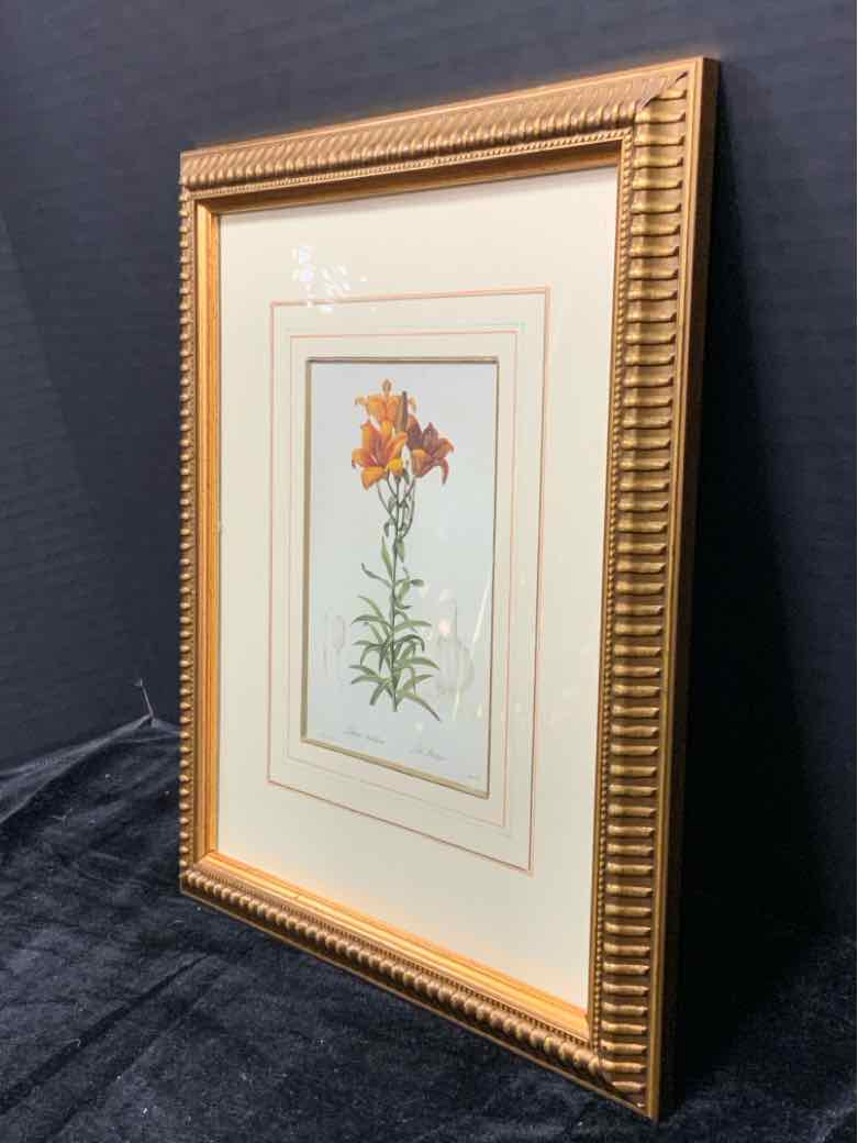 Botanical
