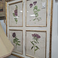 Framed Botanical