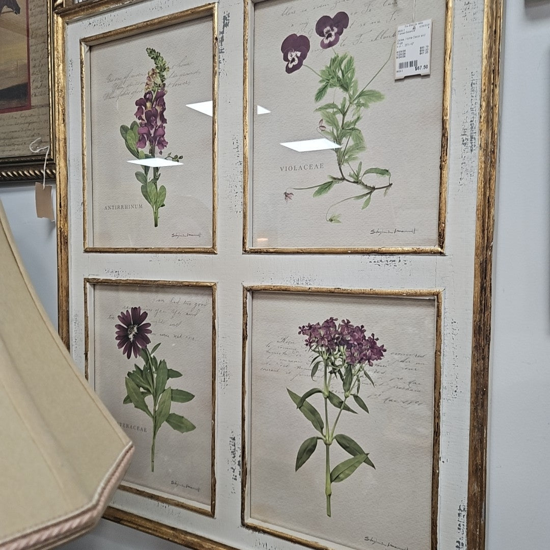 Framed Botanical