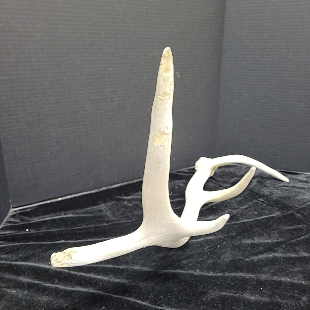 Antler
