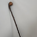 Walking Stick