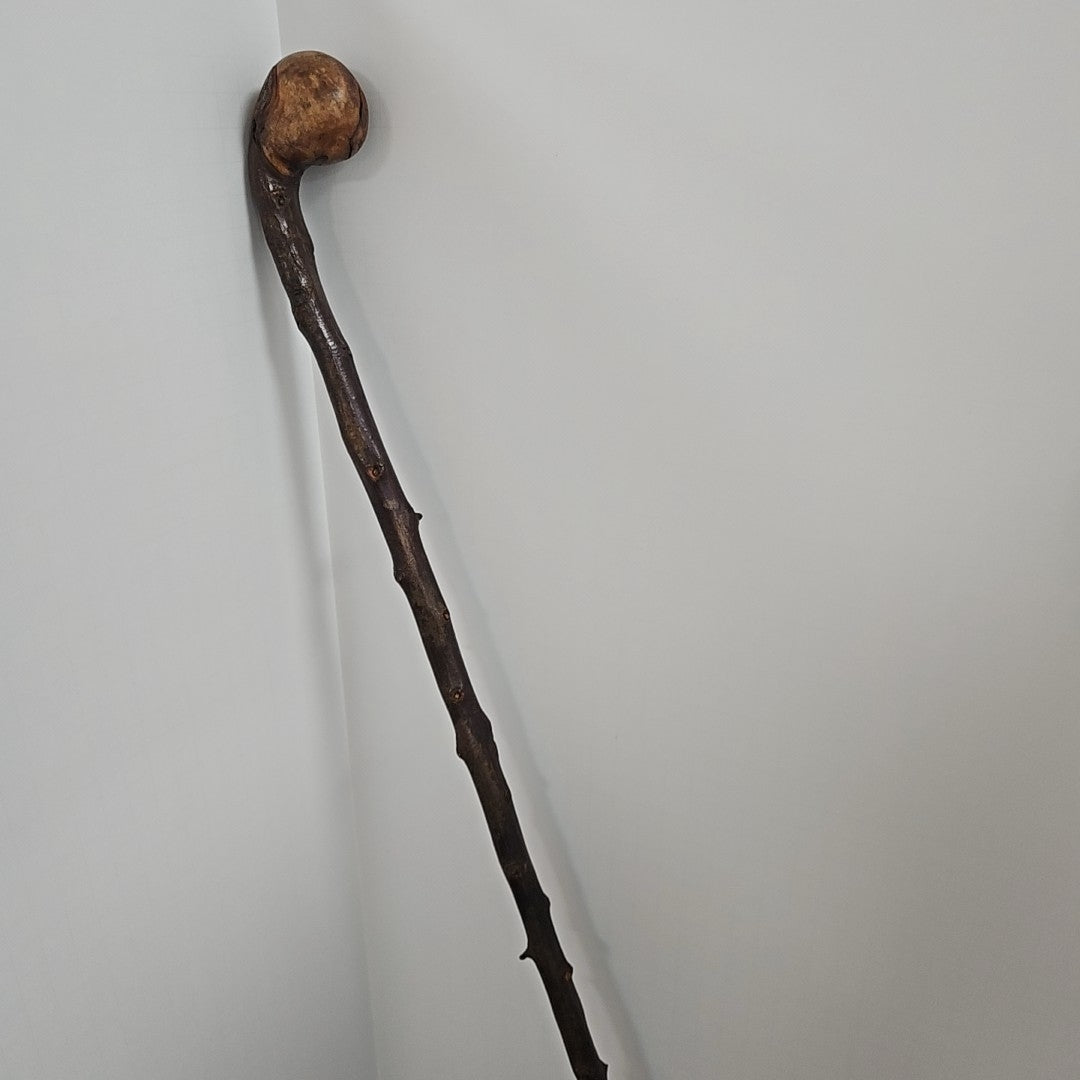 Walking Stick
