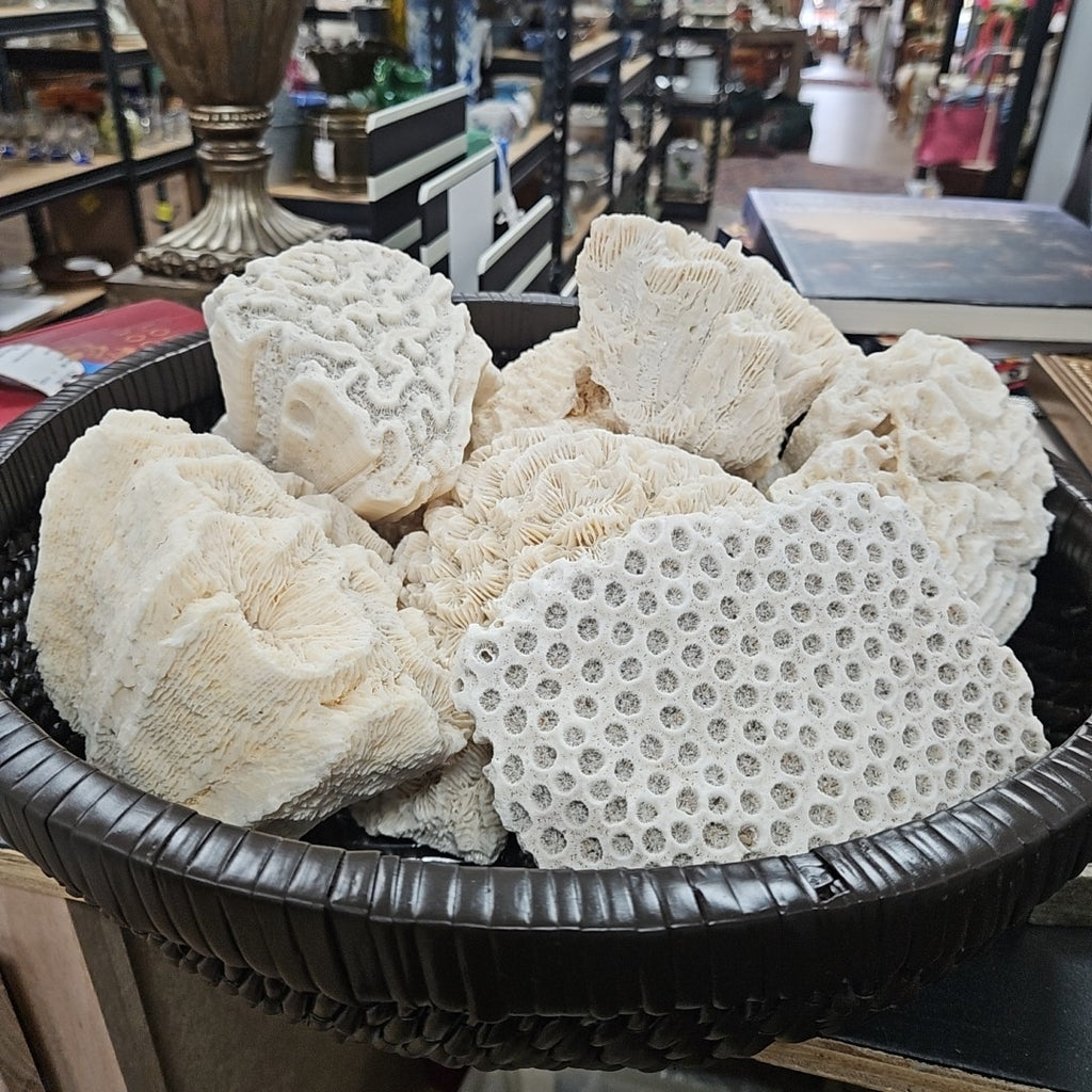 Coral