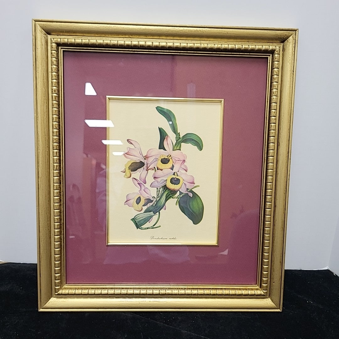 Framed Print