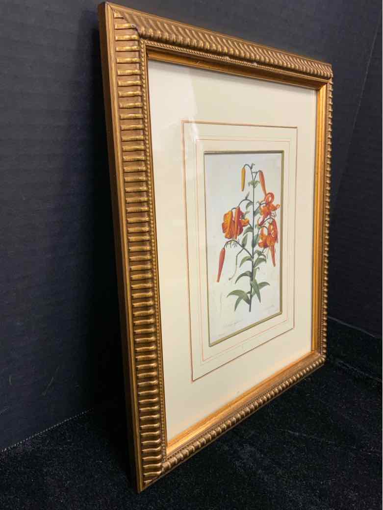 Botanical