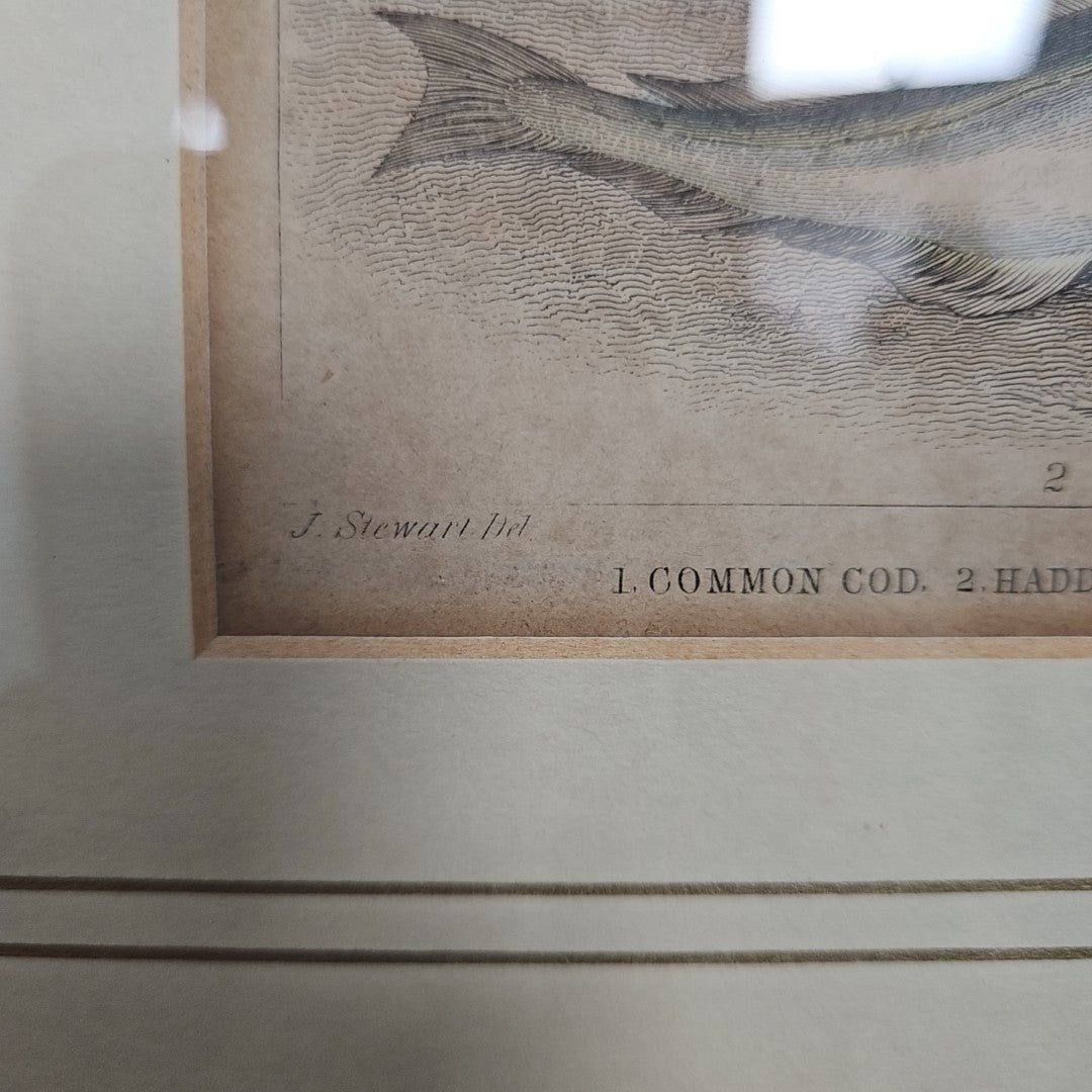 Etching