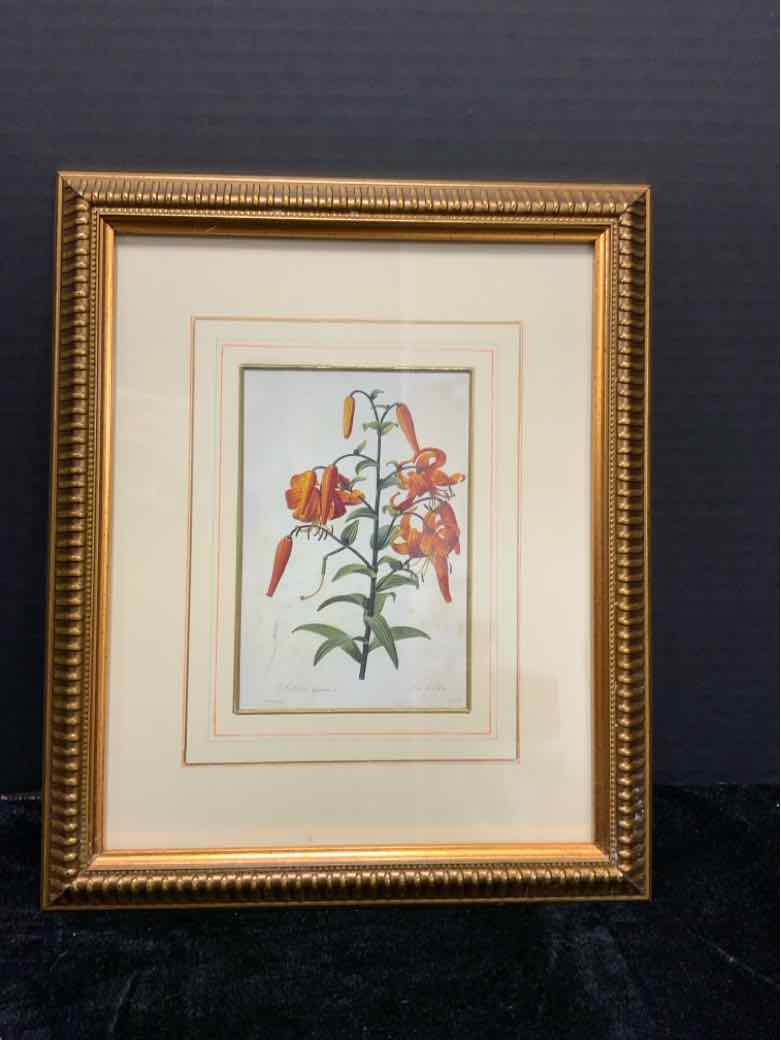 Botanical