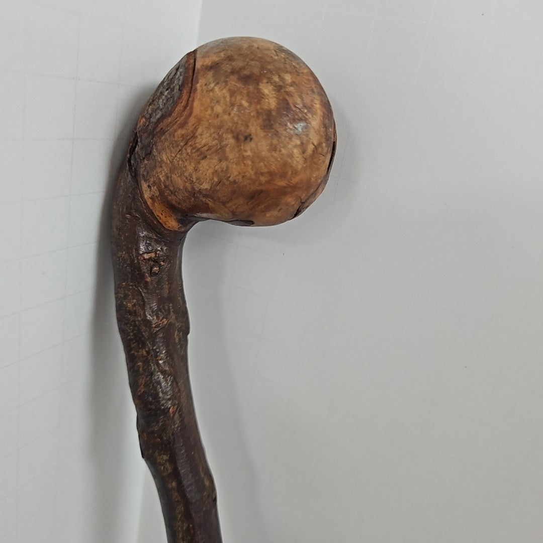 Walking Stick