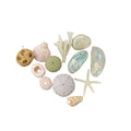 Bag of Shells