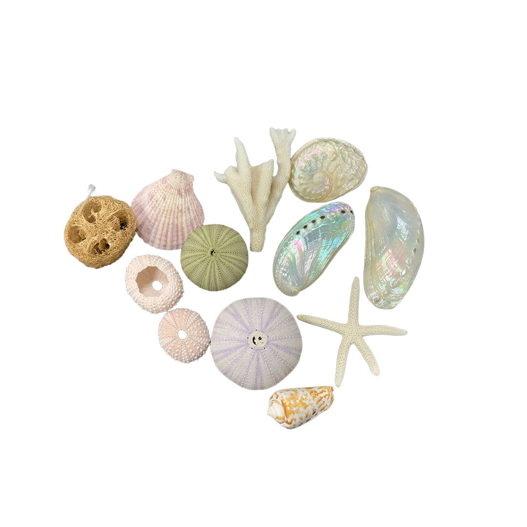 Bag of Shells