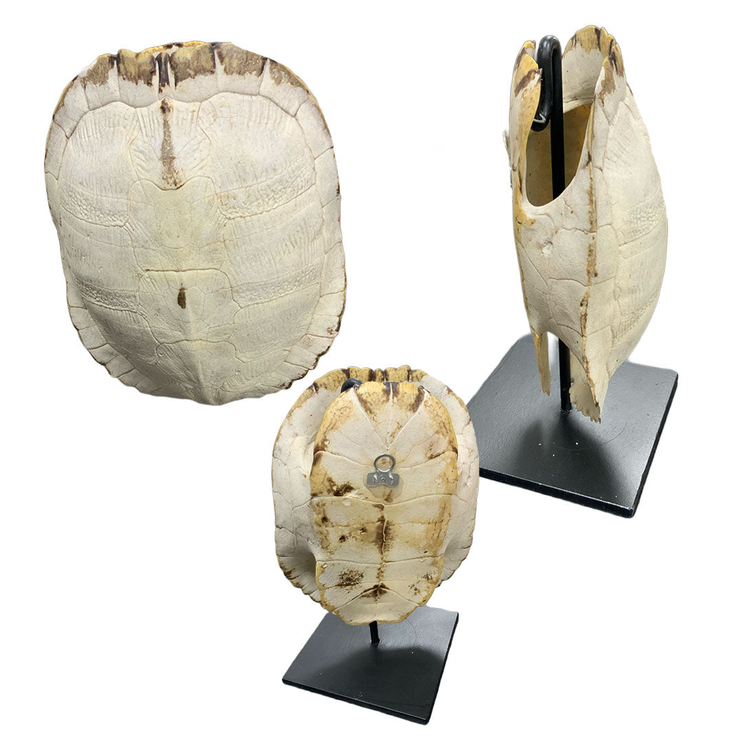 Object d'art