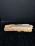 Petrified Wood