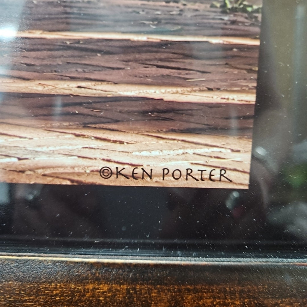 Ken Porter Photograph