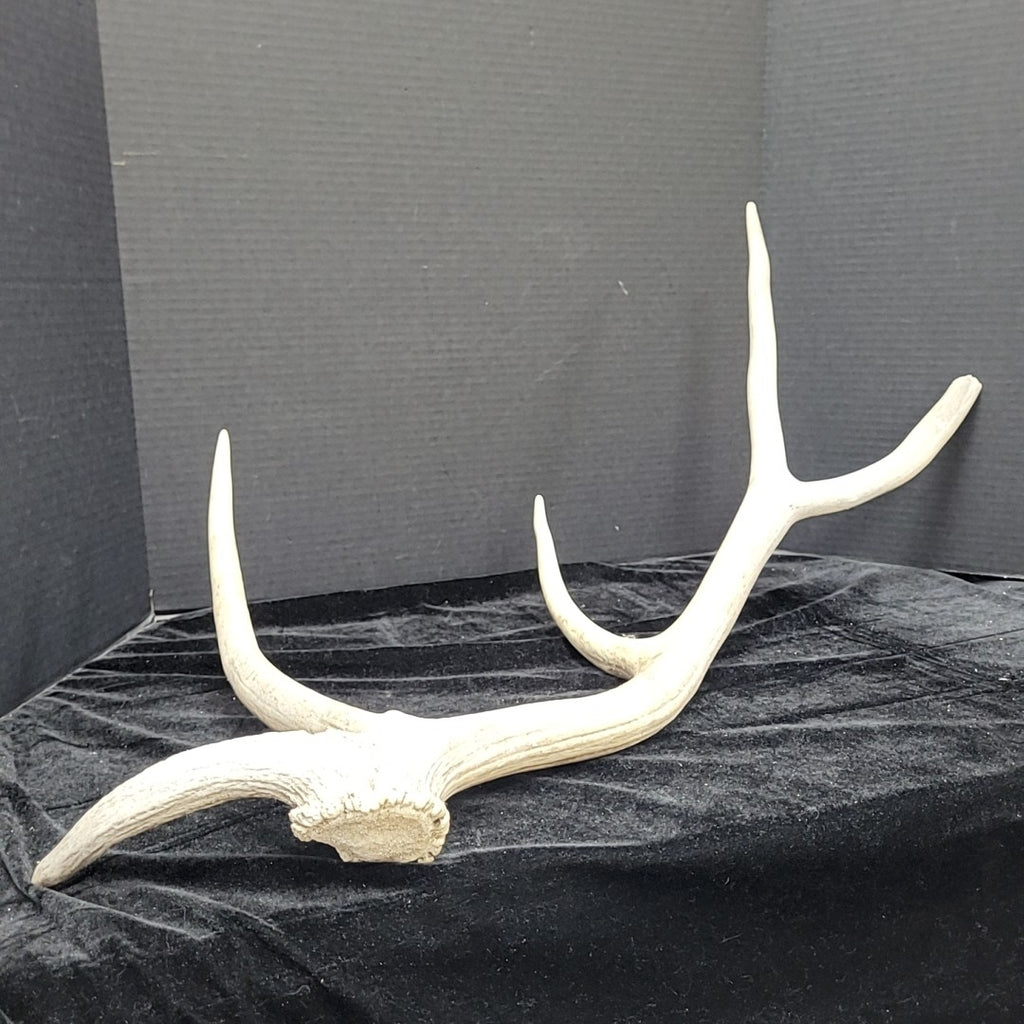 Antler